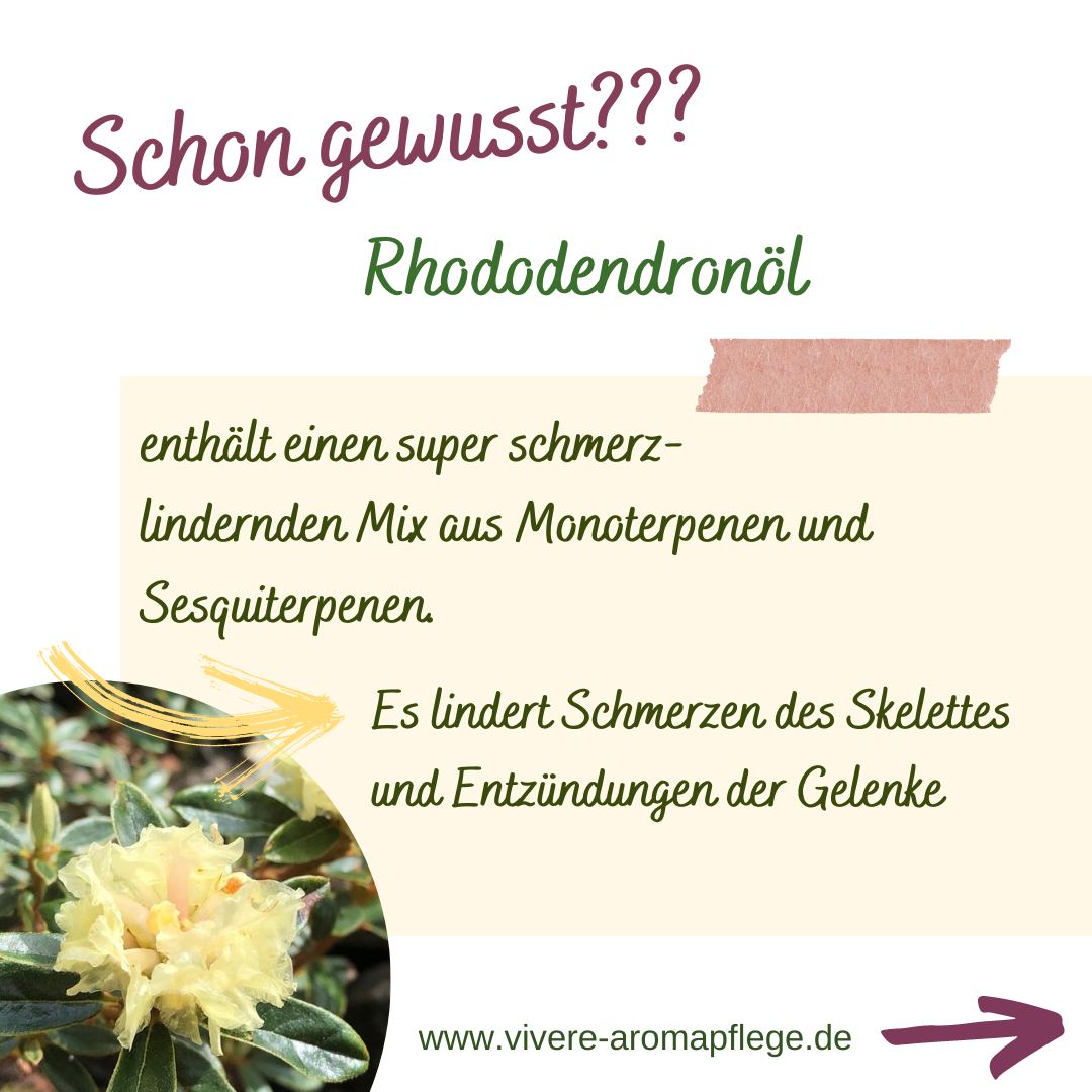 Schmerzen - Natürliche Hilfe aus der Aromatherapie