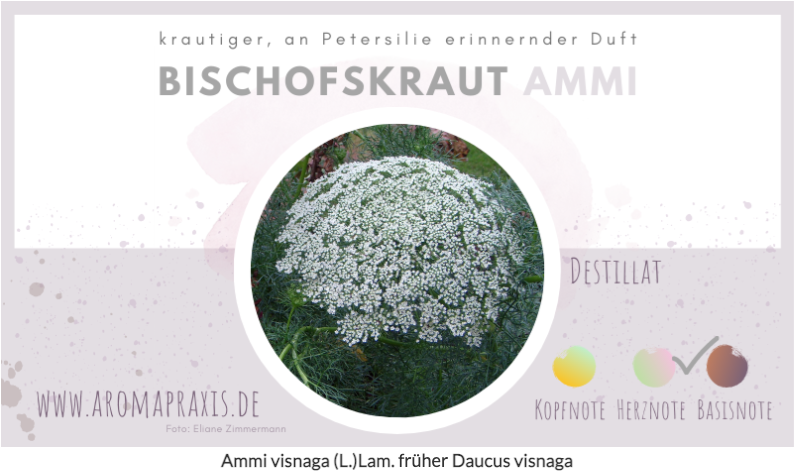 Ätherische Öle - Wunder(bare) Mittel