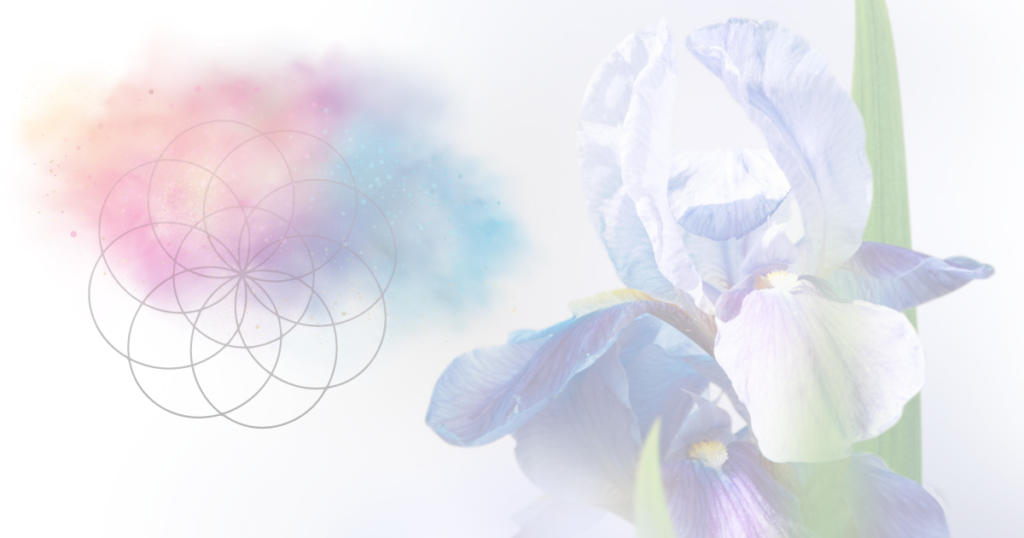 Willkommen bei ViVere Aromapflege!