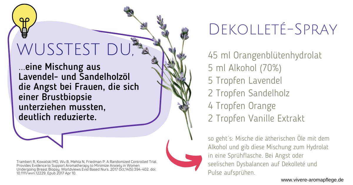 Lavendel in der Aromatherapie - beruhigend oder belebend?