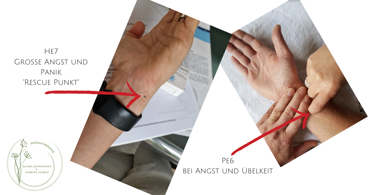 Mein Aromatherapie Notfallplan "Zähne & Mund"