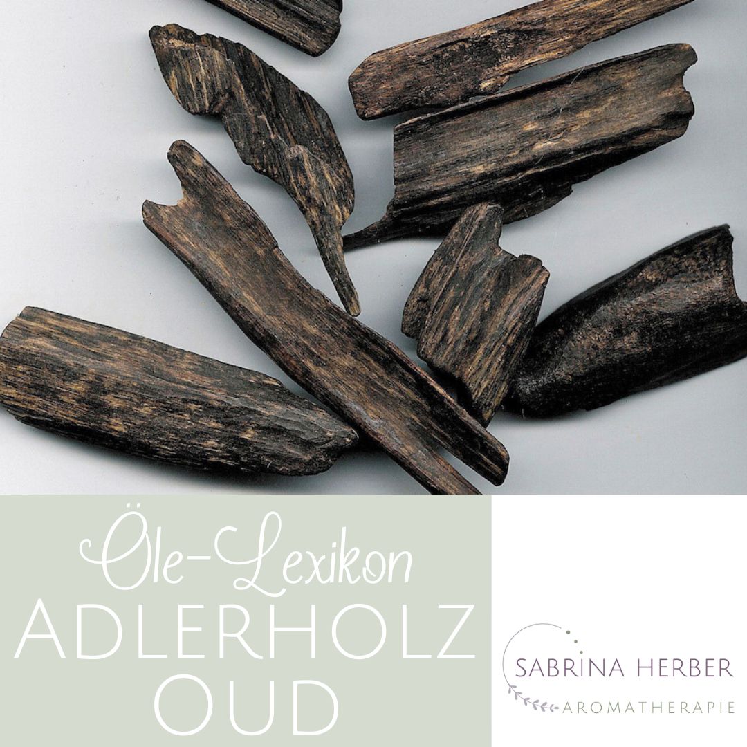 Adlerholz (Oud)