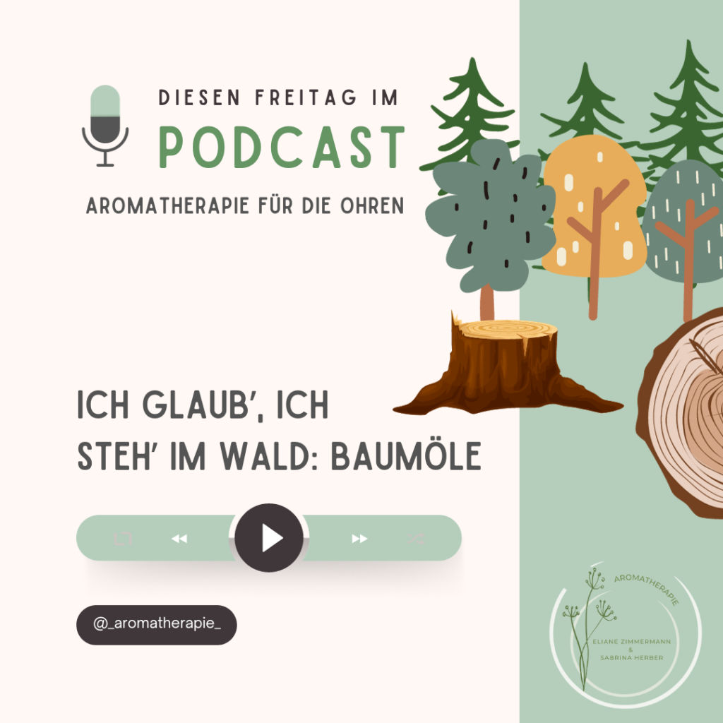 Episode 104 - Ich glaub', ich steh' im Wald :: Baumöle
