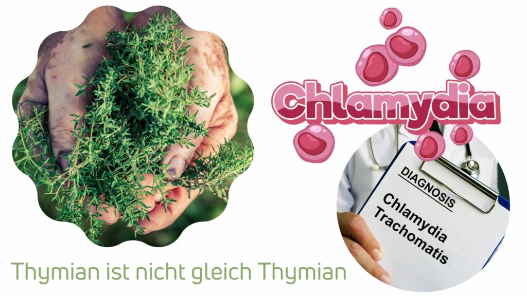 Chemotypen, Chlamydien und Aromatherapie