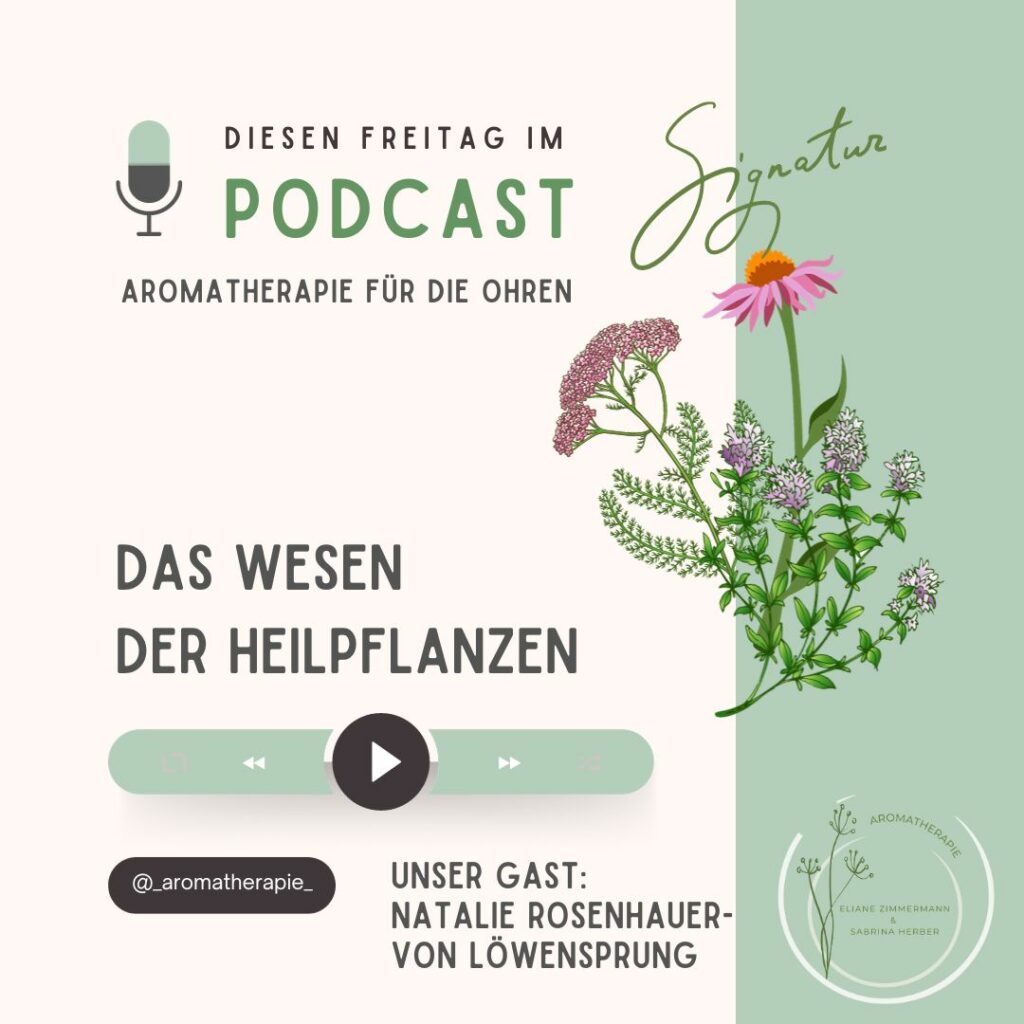 Episode 107 - Das Wesen der Heilpflanzen :: Ein virtueller Besuch bei Ceres