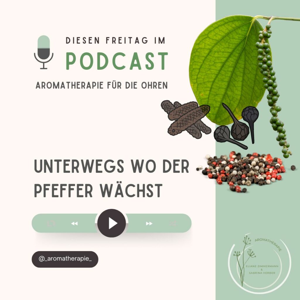 Episode 108 - Unterwegs wo der Pfeffer wächst