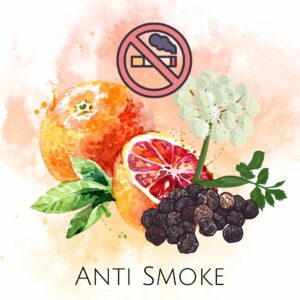 Riechstift <br> Anti Smoke