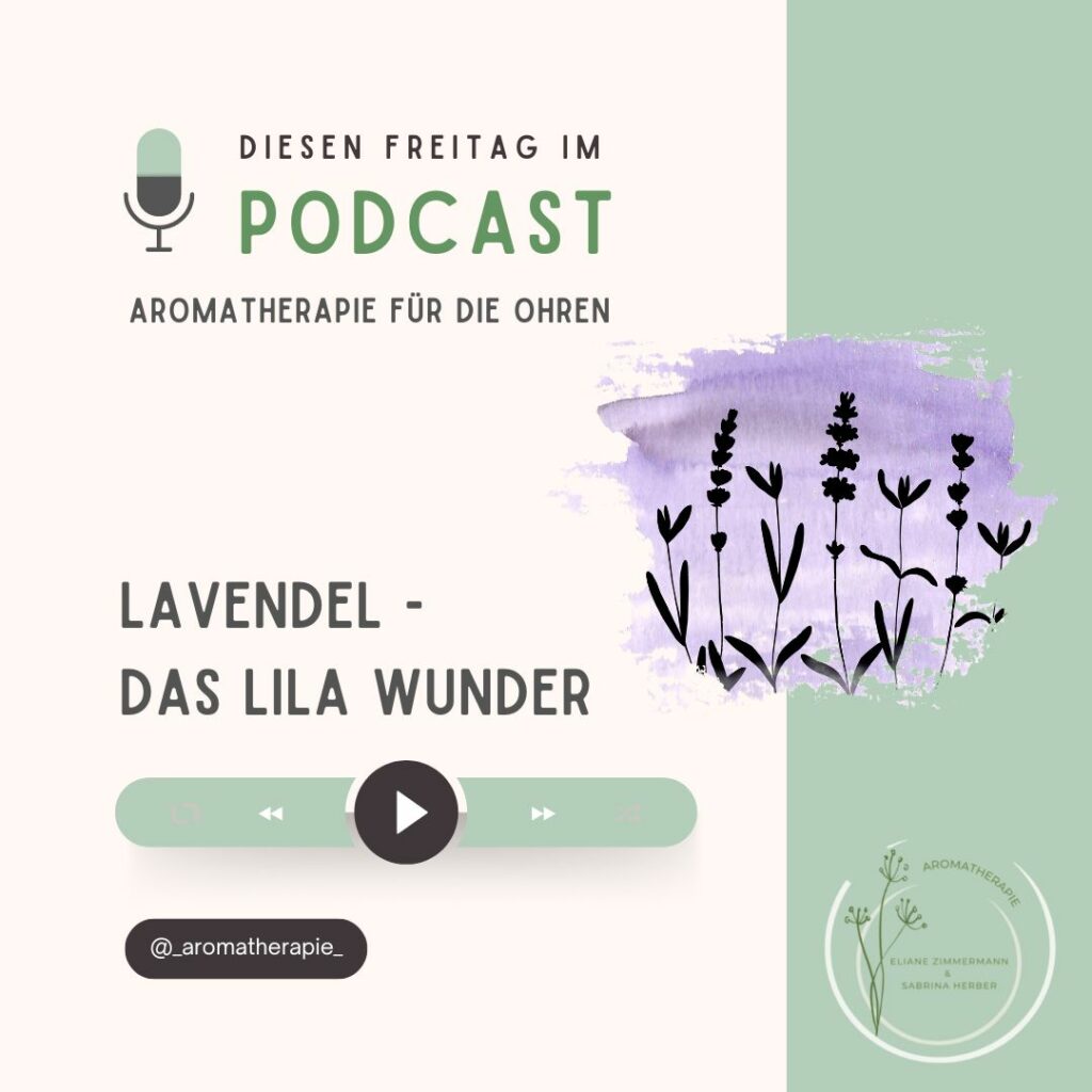 Episode 121: Lavendel – Das lila Wunder (Re-Upload)