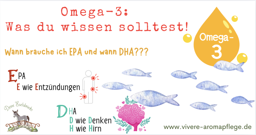 Welche Omega-3-Fettsäuren gibt es – und warum sind sie wichtig?