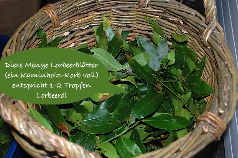 “Ätherische Öle für Kinder: Sanfte Helfer oder überdosierte Gefahr?