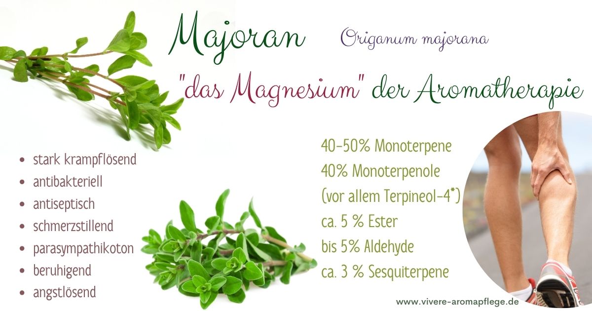 Dein Kompass durch den Magnesium-Dschungel