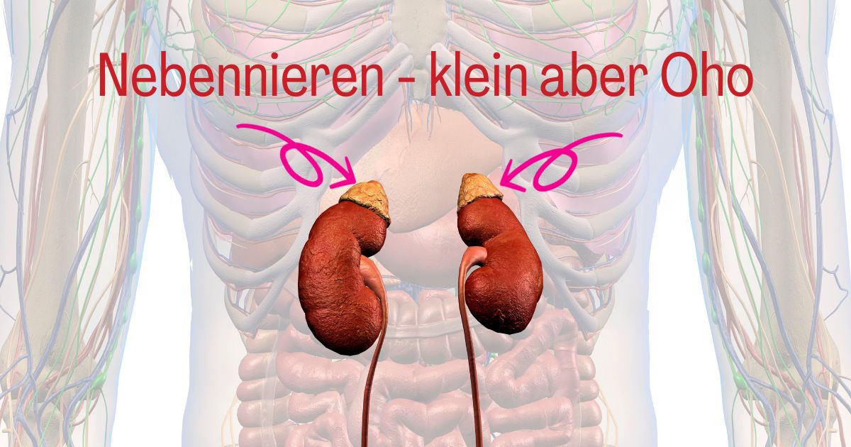 Aromatherapie bei Fatigue und Müdigkeit
