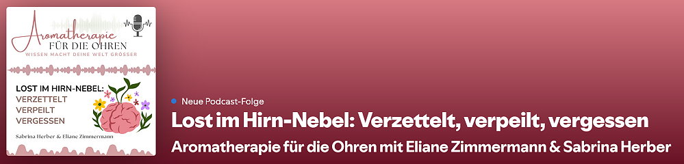 Episode 139 - Lost im Hirn-Nebel: Verzettelt, verpeilt, vergessen