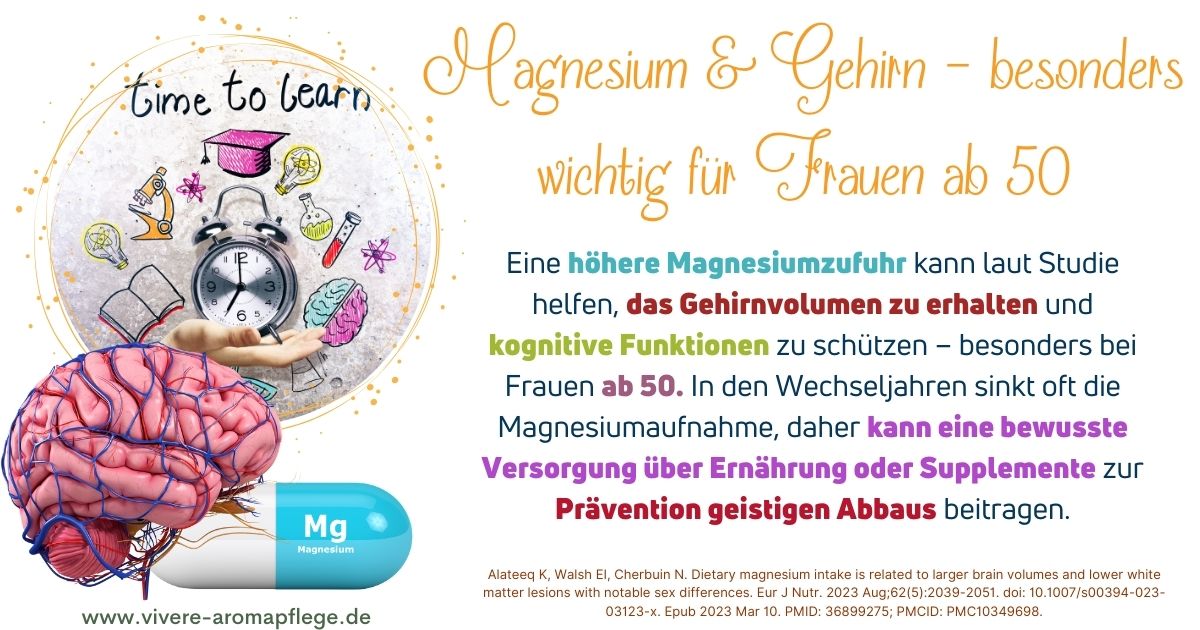 Hormonchaos im Kopf - Vernebelt, vergesslich, verloren - Brainfog in den Wechseljahren