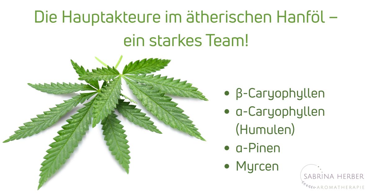 Breaking News - Aromatherapie