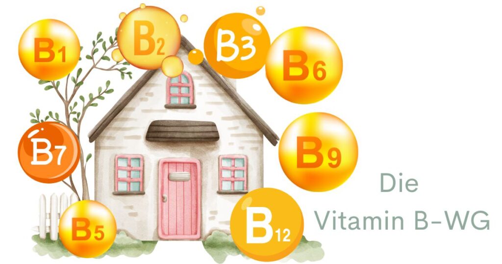 Die Vitamin-B-WG: Alle B-Vitamine von B1 bis B12 anschaulich erklärt – Wirkung, Mangel, Lebensmittel