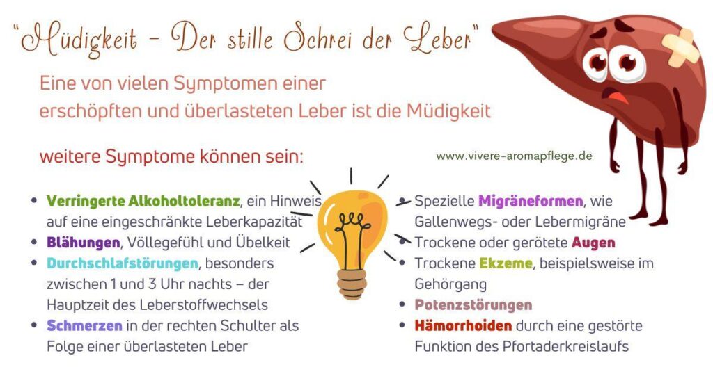 Die Vitamin-B-WG: Alle B-Vitamine von B1 bis B12 anschaulich erklärt – Wirkung, Mangel, Lebensmittel
